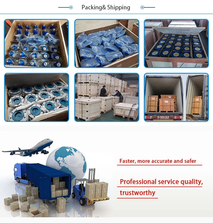 Flow Control Water System Globe Silent Check Valve