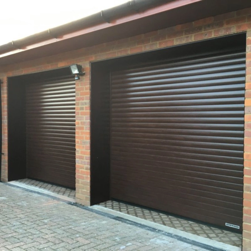 Cheap Motorized Aluminum Rolling Shutter Door / Roller Shutter for House