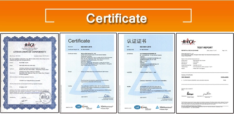 Winvall DN20 24VAC Motor Actuator Control on/off Motorized Ball Valve