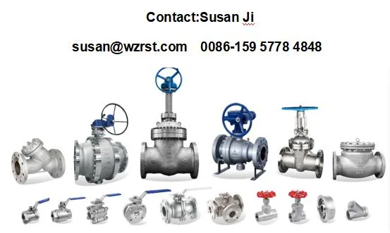 DIN GS-C25 Handwheel Operated Cast Steel Bellows Seal Globe Valve