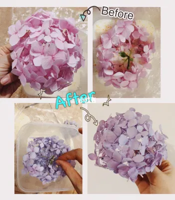  Flower Drying Crystals Reusable 75% Humidity 2-4mm Bead Desiccant Gel for Medicine