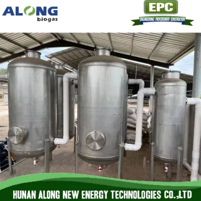 500m3/H Biogas Pre-Treatment System Desulfurization Dehumidifier Scrubber Tower System