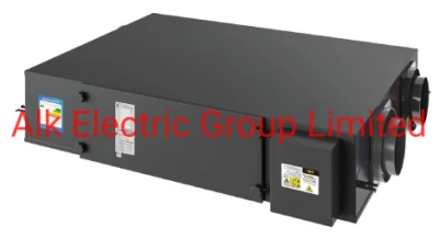 Dehumidification Total Heat Recovery Fresh Air Ventilation System Equipment with HEPA Filter
