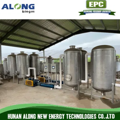 500m3/H Biogas Pre-Treatment System Desulfurization Dehumidifier Scrubber Tower System