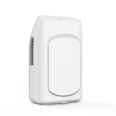  New Mini 220 Volt Household Home Use Drinking Water Fresh Air Dehumidifier with Peltier