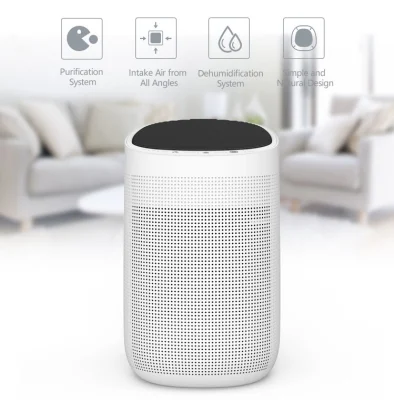  Portable Easy Home Mini Luftentfeuchter Peltier Air Dryer Dehumidifier with Air Purifier