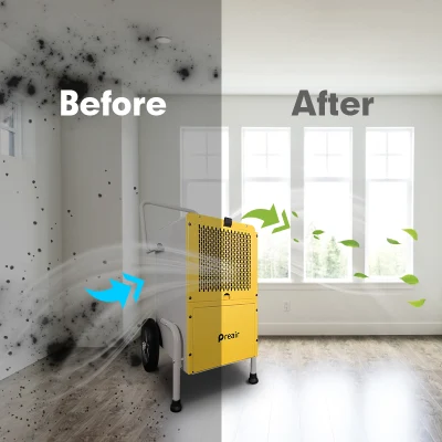 50L/D Seedmax Removal Moisture Industrial Dehumidifier Industrial Suppliers with GS CE BSCI Certification