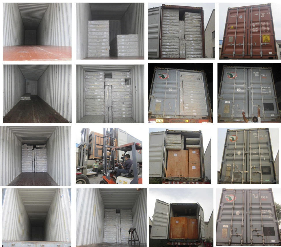 10 Years Warranty Cold Storage Room for Fruits Vegetables Meat Fishes