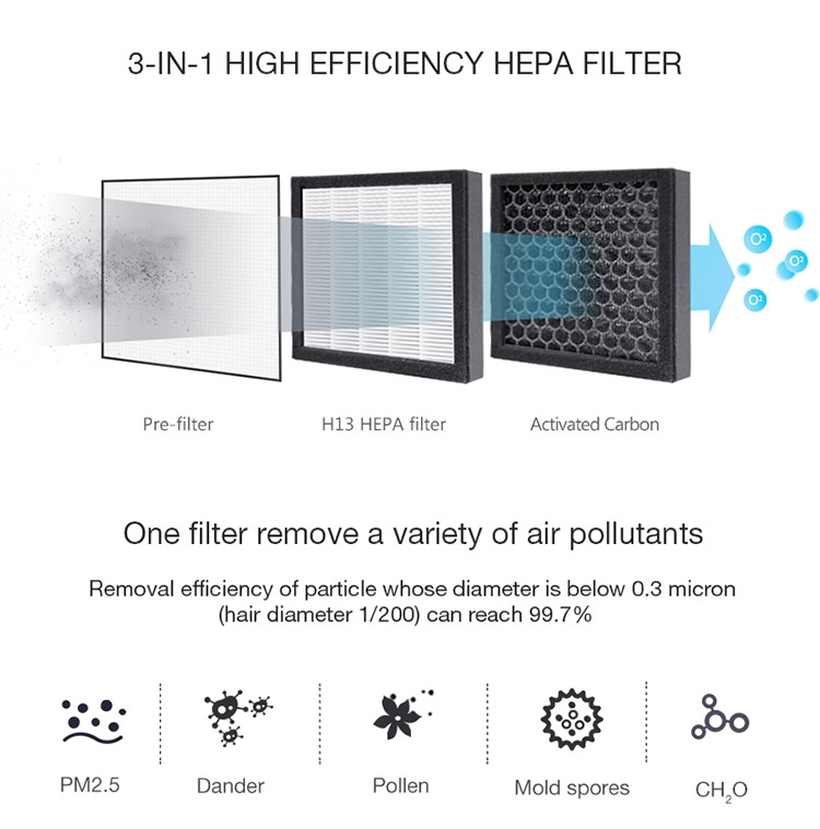 Invitop 1L Water Tank Small Portable Household Natural Fresh Air Dehumidifier for Home