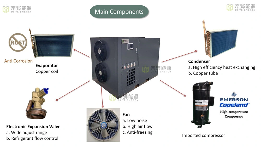 Hot Air Circulation Mango Leaves Dehumidification Dryer Fruits Chili Dehydrator