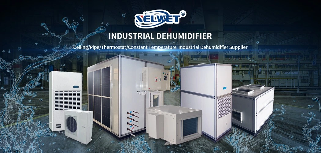 Adjuastable Humidistat Auto Defrost Industrial Commercial Air Dehumidifier Portable