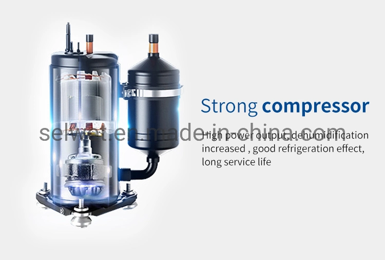 Efficient Rotary Compressor 50L Per Day Small Portable Air Dehumidifier for Basement