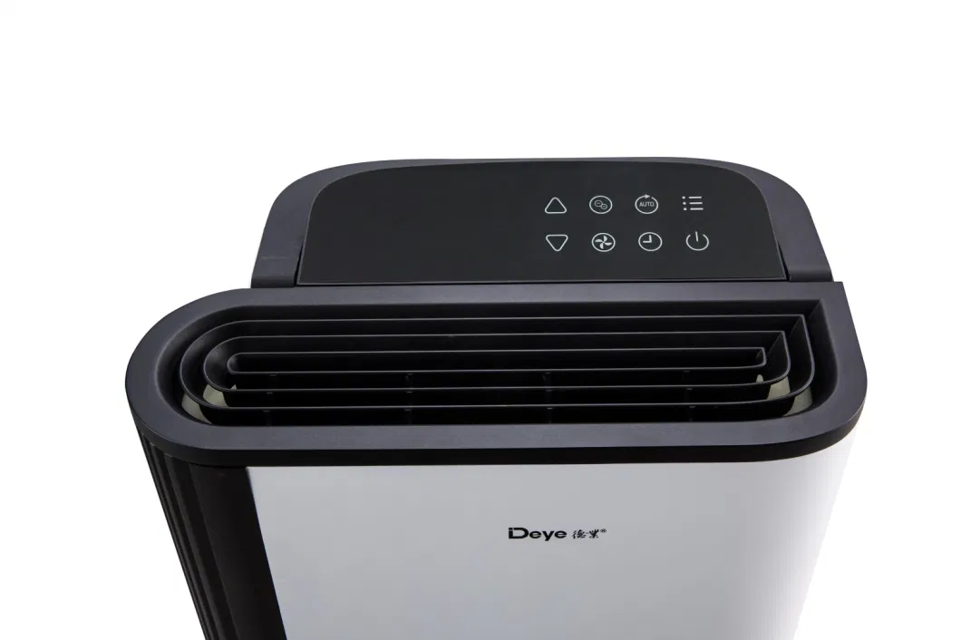 Promotional Beautiful Stylish Cool Myanmar Easy Home Dehumidifier