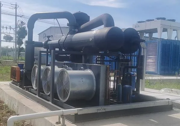 1600m3/H Skid Mounted Biogas Dehumidification Dehumidifier System Plant