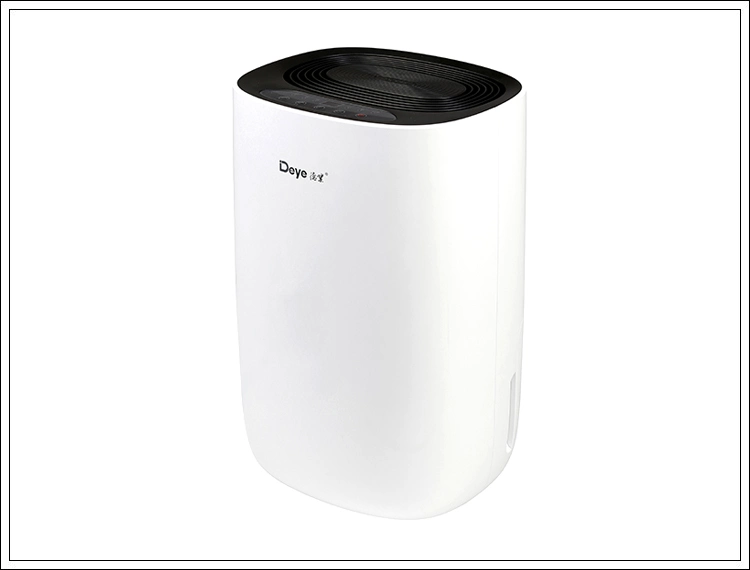 New Home Dehumidifier