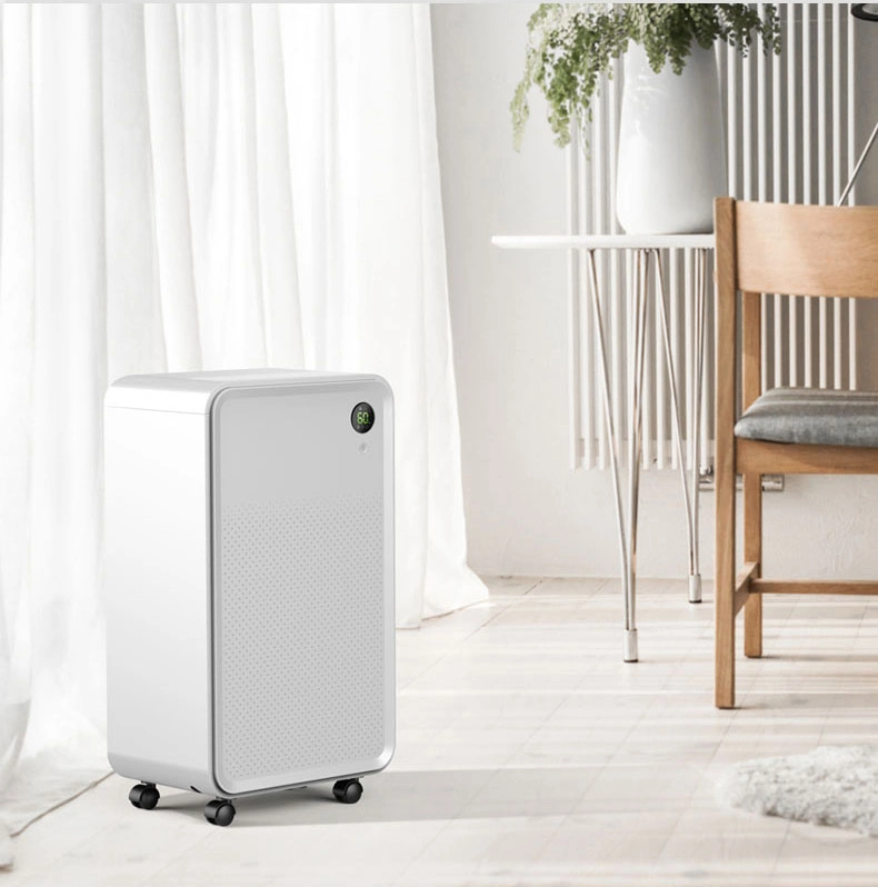 Simple Design Easy Home Low Noisy 10L/D Dehumidifiers