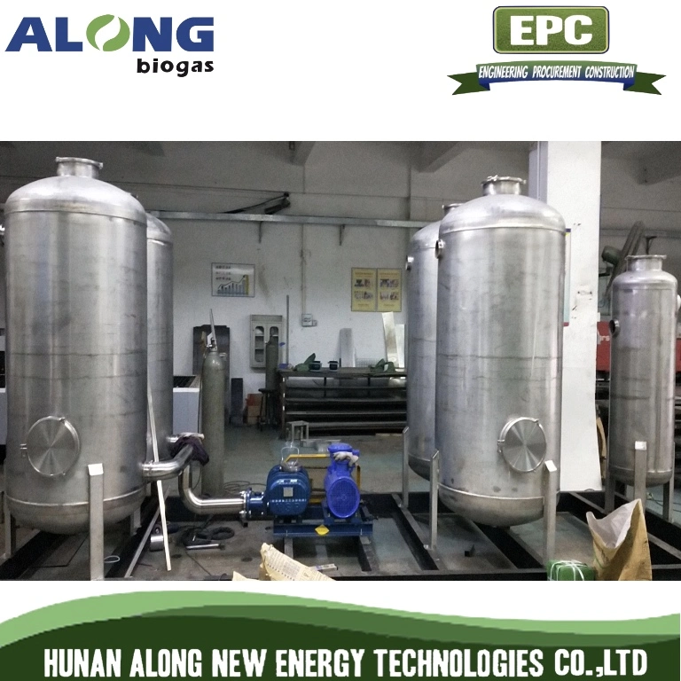 20~500m3/H Skid Mounted Biogas Desulfurization/Dehumidification Scrubber Tank System