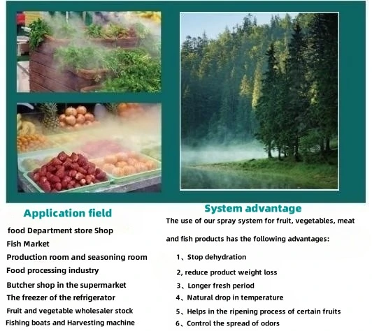Garden Outdoor Water Atomization System Mist Maker Spray System Dehumidifier Fogging System