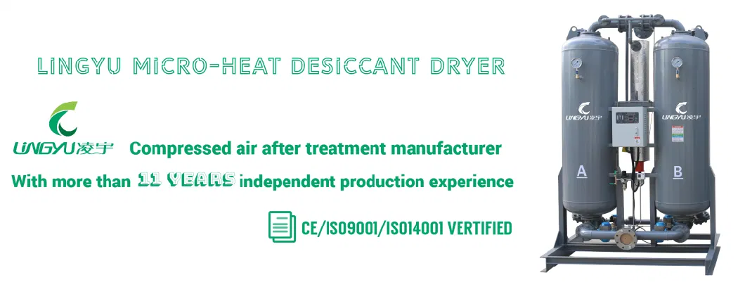 Lingyu Brand -20c -40c Dew Point Twin Tower Desiccant Regenerative Dryer Desiccant Air Dryer System