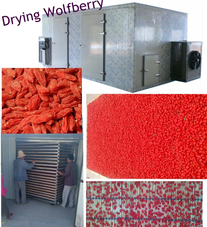 Industrial Dry Sea Food Equipment Squid Drying Machine