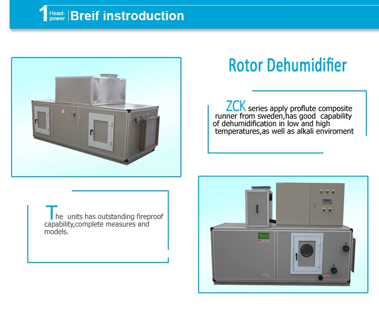 100kg/H Air-Cooled Type Thermostat Rotor Dehumidifier