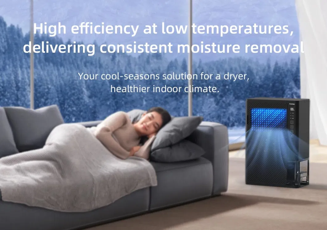 Moisture Low Noise Portable Household Dehumidifiers with Water Tank Large Capacity Dehumidifier
