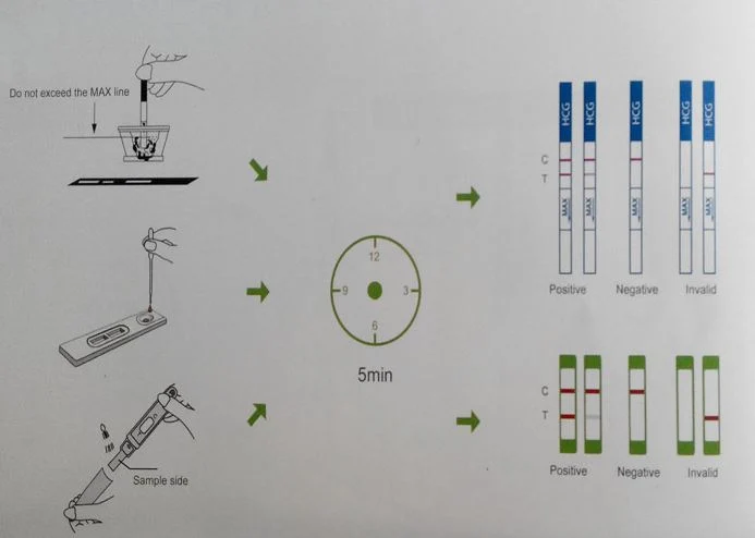 10-12.5miu/Ml HCG Urine Pregnancy Test Strips