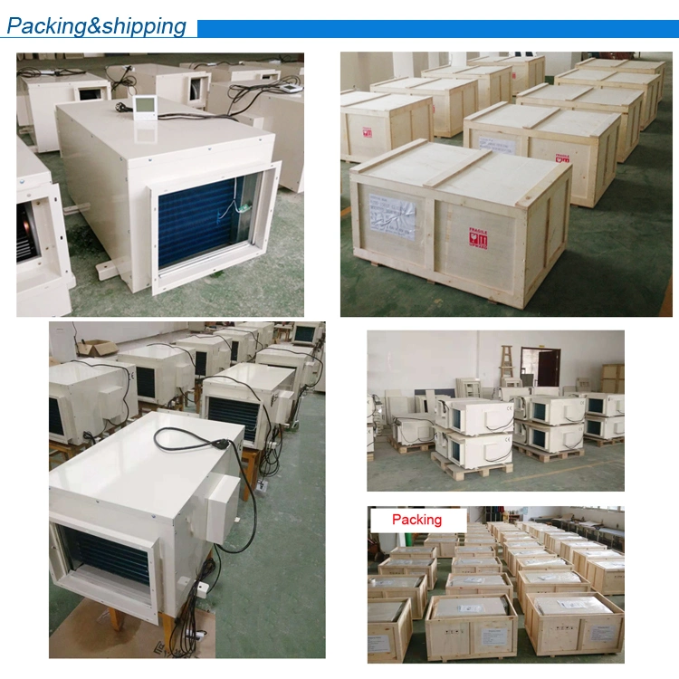 China Factory CE Approved Hot Sale Commercial Industrial Ceiling Mounted Dehumidifier OEM