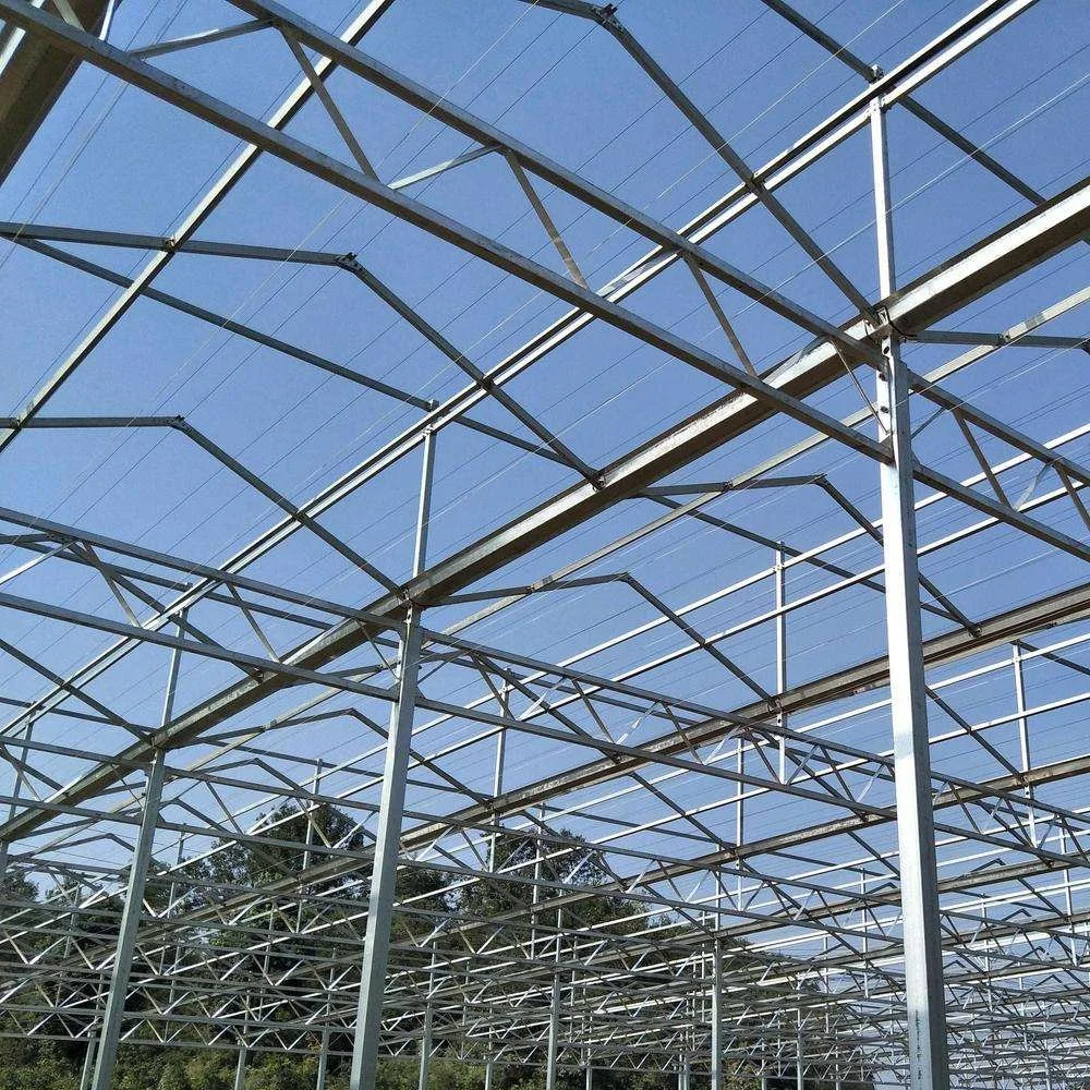 Multi-Span Agricultural Greenhouses Glass Garden Steel Structure Aeroponics System Multi Span Greenhouse