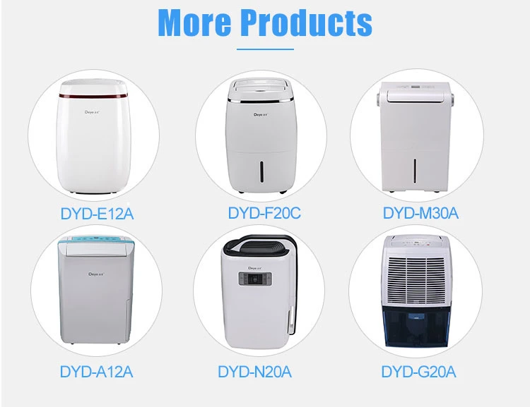 New Refrigerant R290 Dehumidifier
