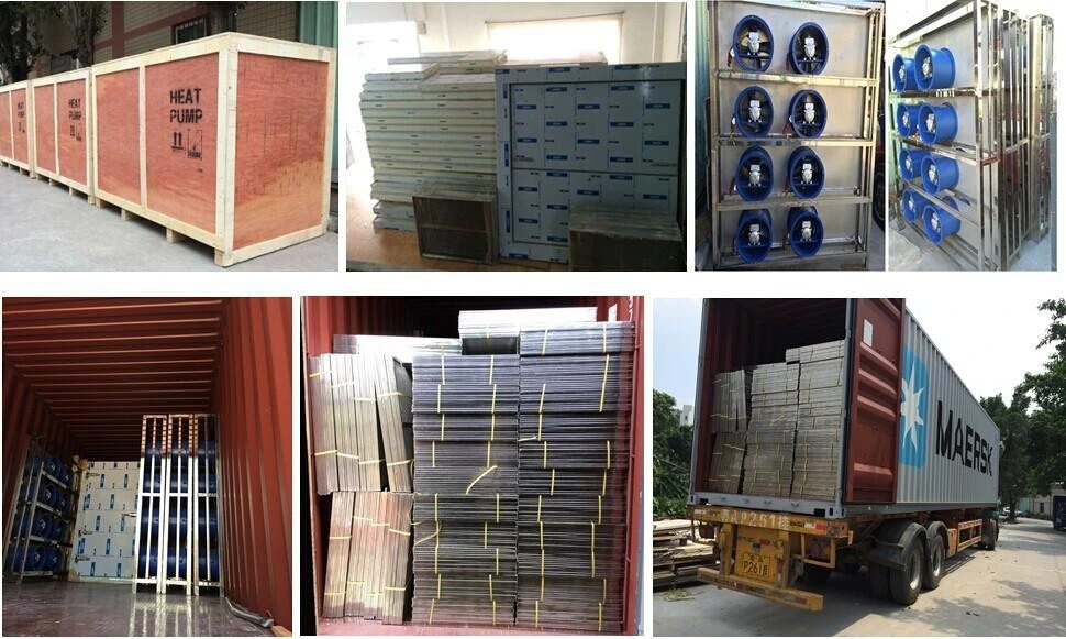 Industrial Dry Sea Food Equipment Squid Drying Machine