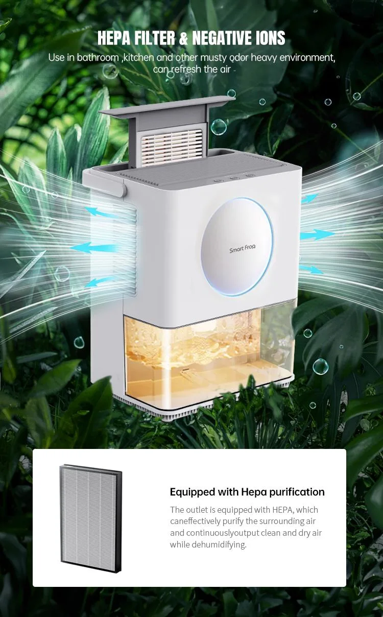 Portable Desiccant Cabinet Bathroom Room Home Peltier Air Humidifier Mini Small Air Dryer Dehumidifier with Air Purifier Filter