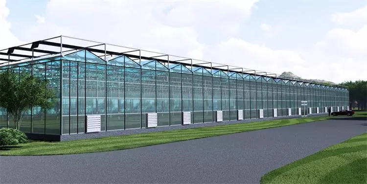 Multi-Span Agricultural Greenhouses Glass Garden Steel Structure Aeroponics System Multi Span Greenhouse
