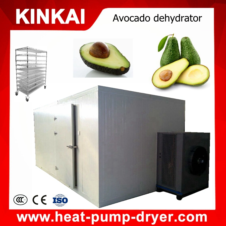 Star Fruit Heat Pump Dehumidifier Dryer