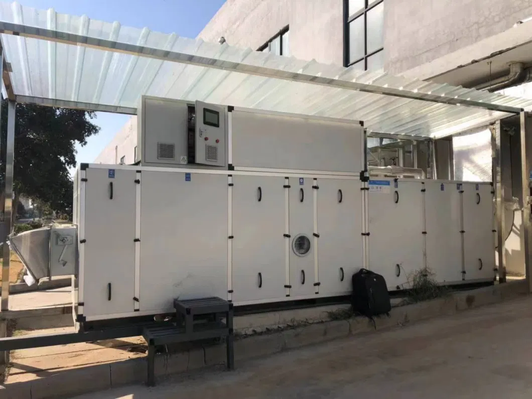 Low Dew Point Desiccant Dehumidifier Industrial Used for Lithium Battery Production