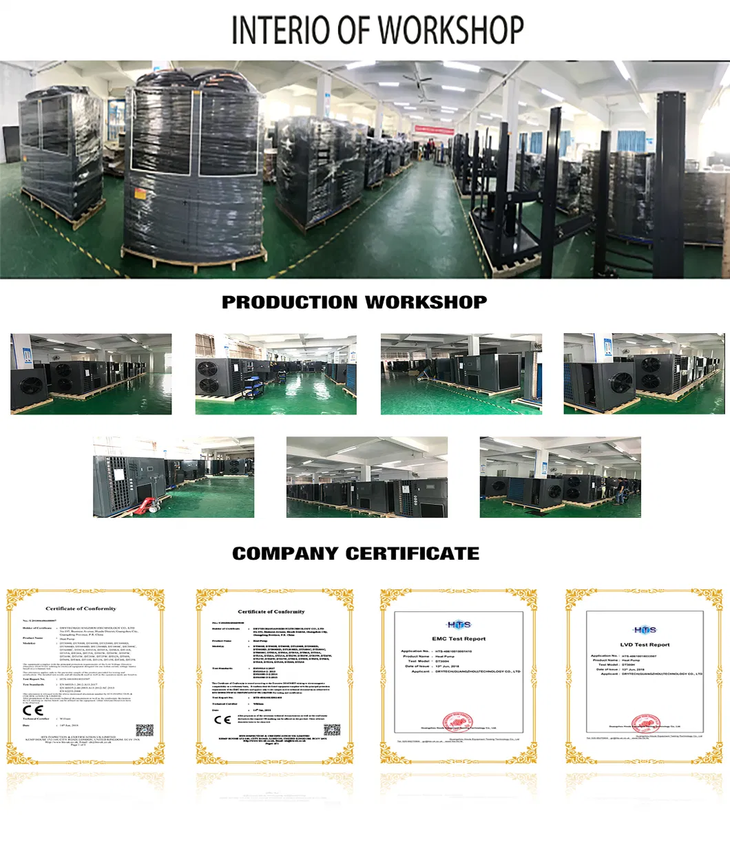 Low Temperature Dehumidifier Type Drying Oven Green Tea Drying Equipment Moringa Leaf Dryer Machine