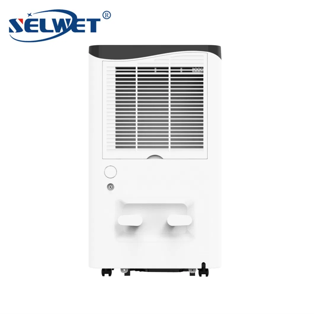 Auto Defrost High Efficiency 12L 20L 50L/Day R290 Domestic Small Air Drying Portable Dehumidifier