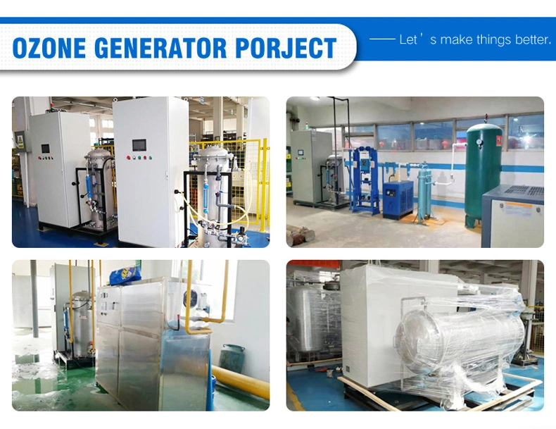 Flygoo High Efficiency Large Ozone Generator Water Treatment System 2kg