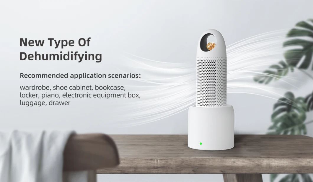 2022 Trending New Customized Home Wardrobe Air Mini Portable Small Dehumidifier with Silica Gel