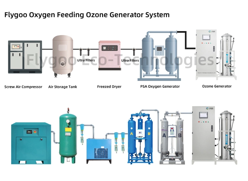 Flygoo High Efficiency Large Ozone Generator Water Treatment System 2kg