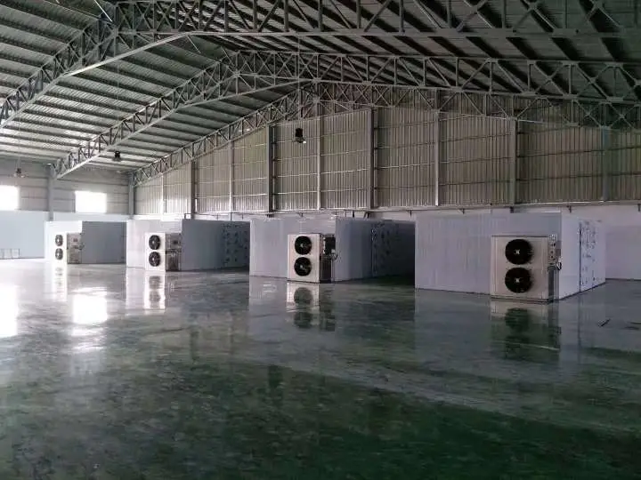 Large Capacity Industrial Fruits and Vegetable Dehydrator Mango Heat Pump Dryer Machine