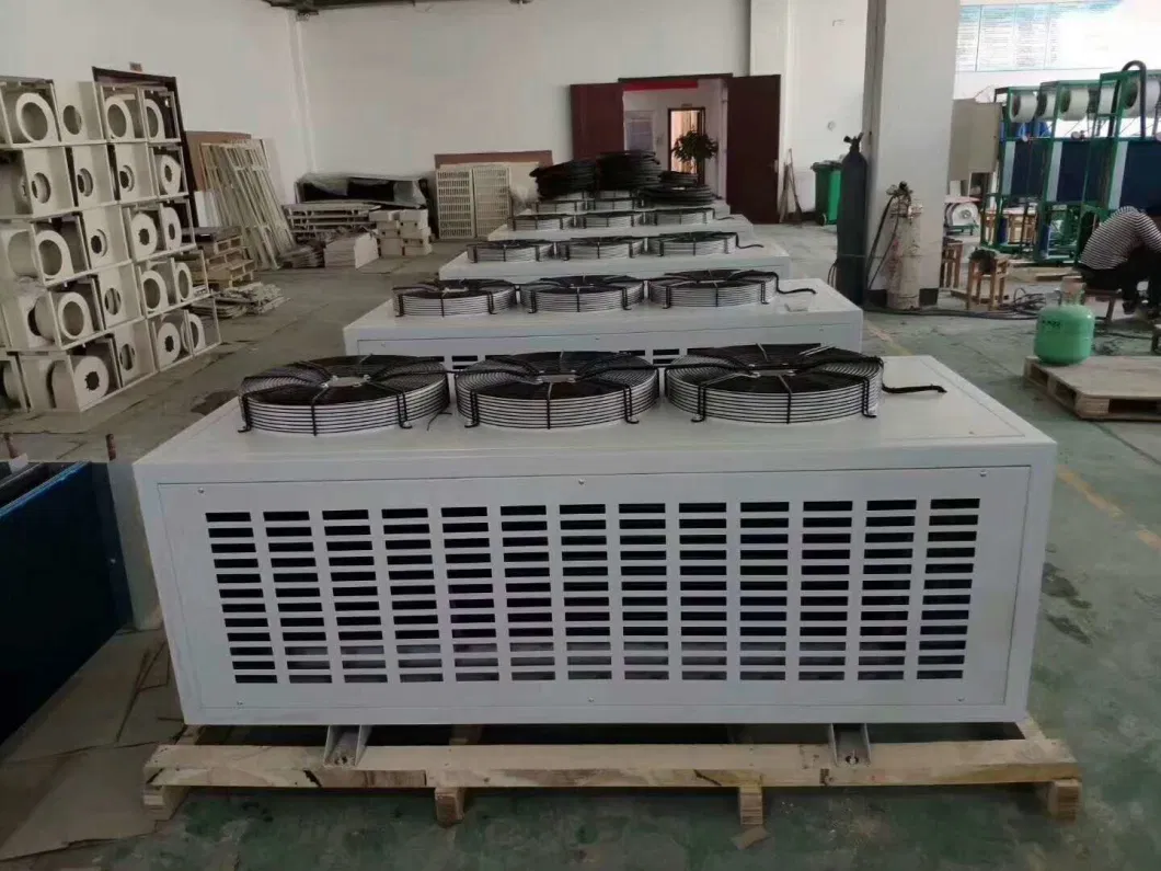 Customized Multifunctional Humidity and Temperature Control Dehumidifier