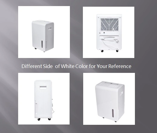 Buy a Low Temperature Dehumidifier Compact for Home