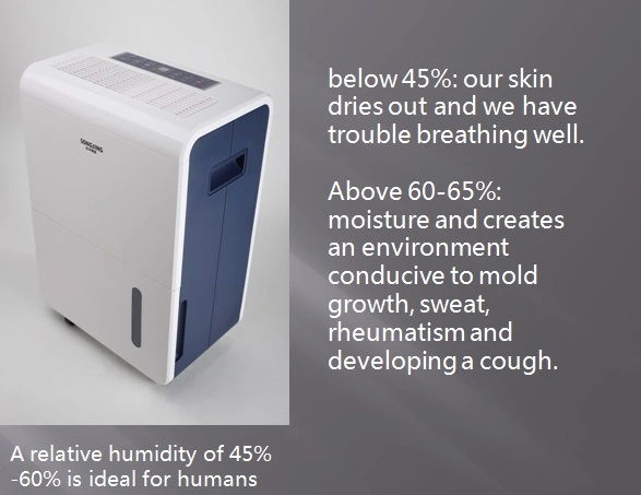 Buy a Low Temperature Dehumidifier Compact for Home