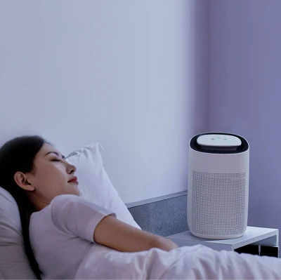 Nuevo purificador de aire HEPA Casa Hogar portátil deshumidificador para seco,