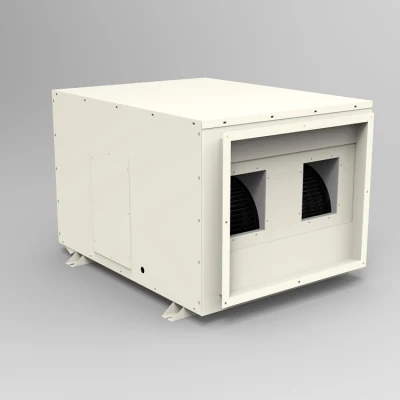 10L/H deshumidificador Industrial de eliminación de humedad en la pared para el cuarto de cultivo