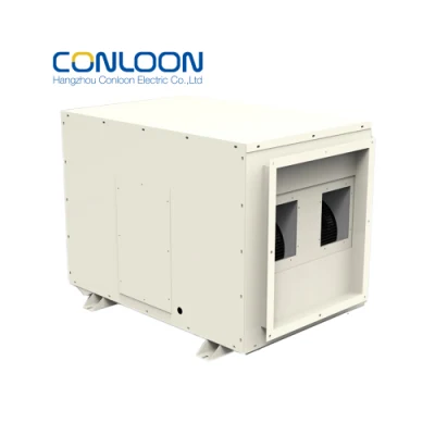  La fábrica China de 300 pintas/D en el techo para crecer Casa deshumidificador conducto