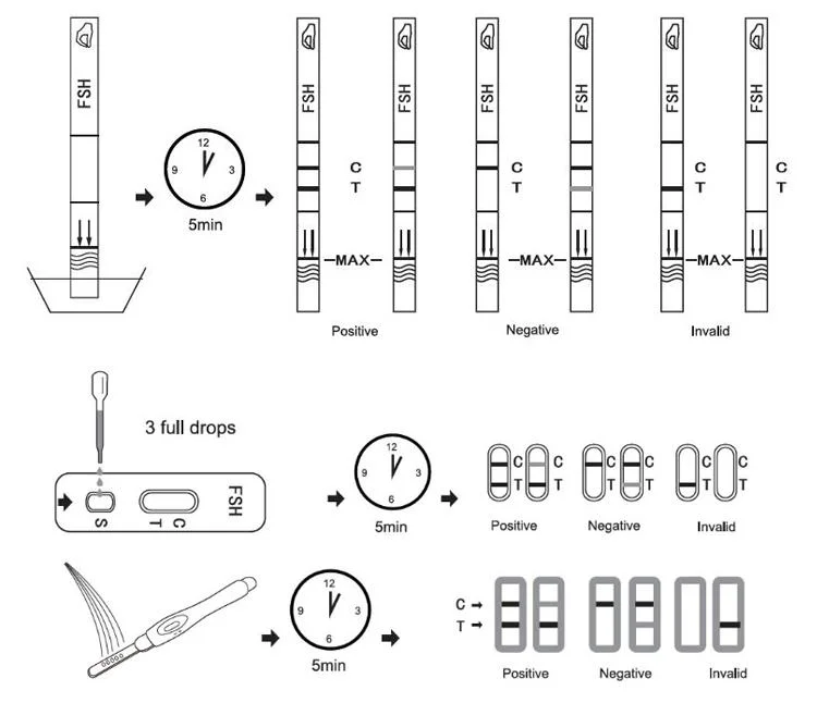 Singclean Rapid One Step Lab Homely Follitropin Test Kit for Infertility