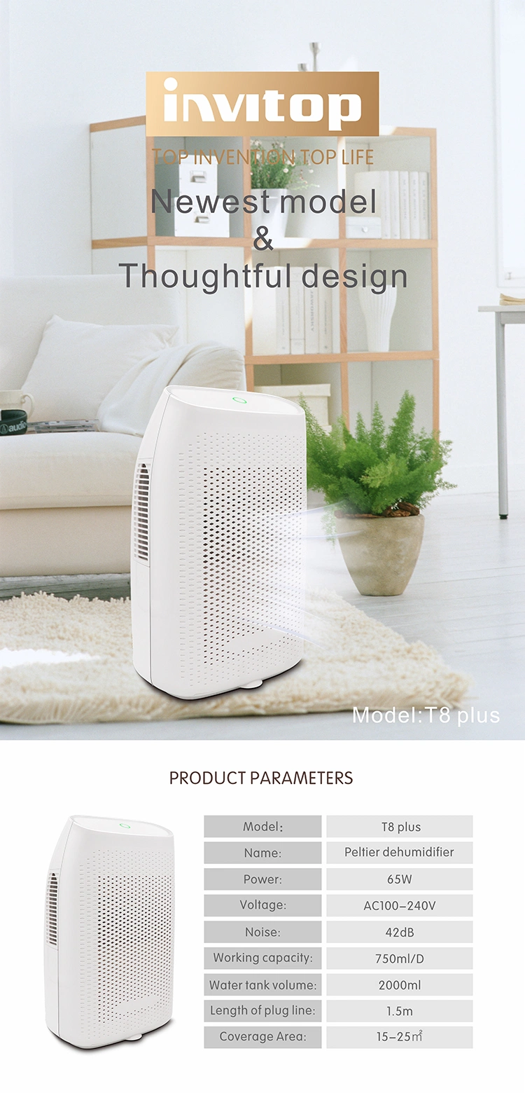 New Model Big Capacity Smart Portable Easy New Commercial Mini Air Dehumidifier