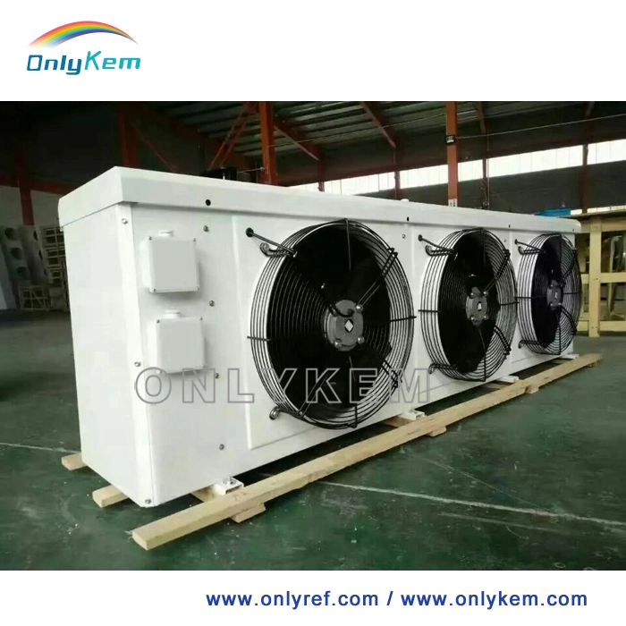 Refrigeration Unit Freezing Rooms for Frozen Meat for Fruits with Ce